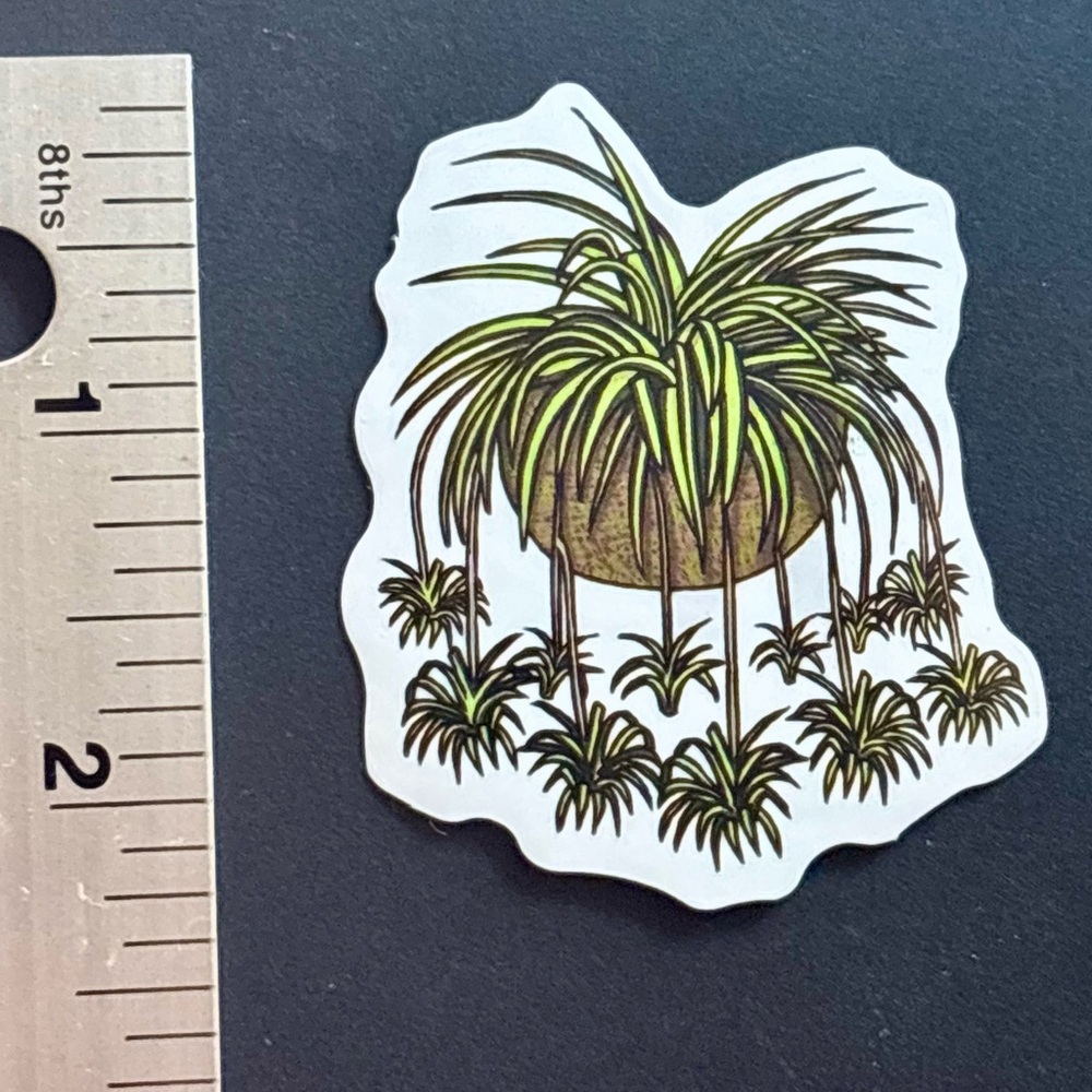 10/$10 Plant Aesthetic Sticker -Waterproof Vinyl Water Bottle Laptop Scrapbook
